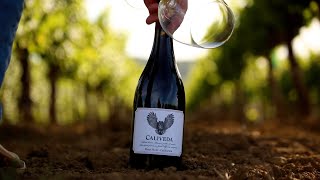 Caliveda | Guardian of California Flavor