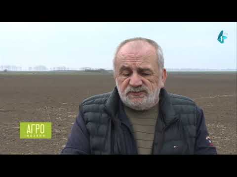 Marijan Rističević o prehrambenom suverenitetu Srbije