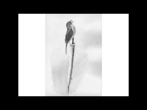 Bình ca 1 Sheet - Duy Quang