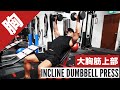 【大胸筋上部筋トレ】インクラインダンベルプレスの正しいフォーム・やり方 | インクラインバーベルでは肩が痛いという方はぜひ!