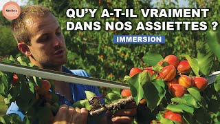 Pourquoi les aliments ne nous nourrissent plus ? | DOC COMPLET