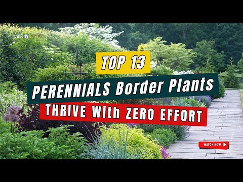13 Stauden-Rabattpflanzen, die ohne Aufwand gedeihen! 🌿🌼 #Gartenideen
