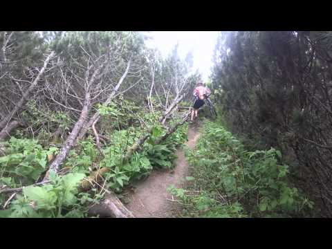 Coborare de la cabana Dochia prin Poiana Maicilor 2