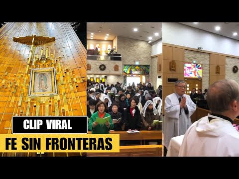 Worshippers sing “La Guadalupana” in Korean and the video goes viral