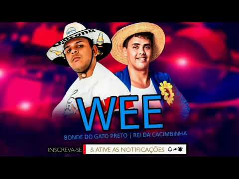 BONDE DO GATO PRETO  & O REI DA CACIMBINHA - WEE (MÚSICA NOVA)