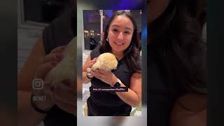 Download lagu Would you buy an AI pet in place of a real one? #techtokwithdee #aipet mp3 Download lagu Would you buy an AI pet in place of a real one? #techtokwithdee #aipet mp3