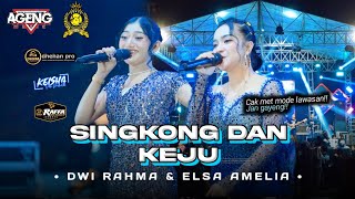 Download lagu SINGKONG DAN KEJU • DWI RAHMA & ELSA AMELIA • AGENG MUSIC • LIVE ARKAS GENERATION JOMBANG mp3