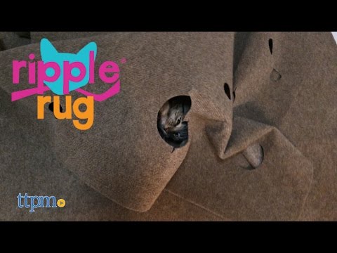 download lagu mp3 mp4 Snugglycat, download lagu Snugglycat gratis, unduh video klip Snugglycat