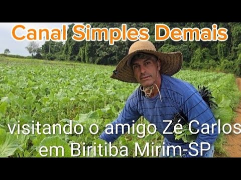 BIRITIBA MIRIM-SP CINTURÃO VERDE DO ALTO TIETÊ