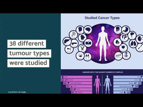 The ICGC/TCGA Pan Cancer Analysis Project