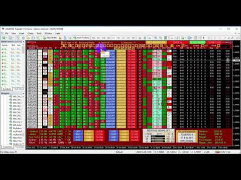 Video Milch Cow Multi Currency