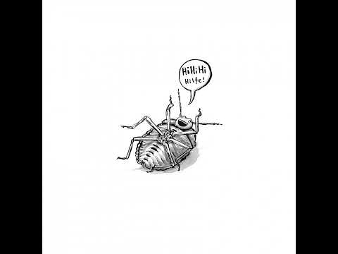 #2 gefangen in der Depression - aufgestiegen in der Manie...wie alles begann