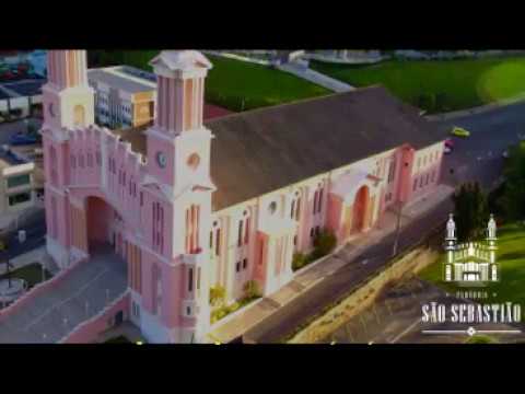 Palavra do dia 16 11 2018 Pe Itamar, scj