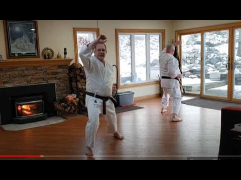 Home Shotokan Karate Training - March 17th 2021 - University of Minnesota Shotokan Karate Club