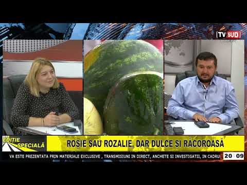 Special Edition 10.07.2025