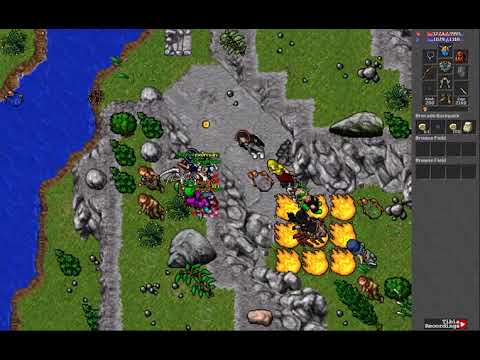 Pai Fernandes (262) [Elite Knight] - Aurera