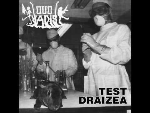 QUO VADIS - ZWYKŁY DZIEŃ