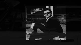 Roy Orbison ~ The Crowd (Stereo)