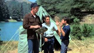 The Brady Bunch - Felt Fishy