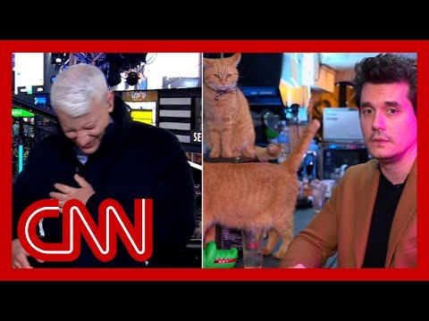 安德森庫柏和約翰梅爾在貓咪酒吧連線，笑到崩潰！🐱😂 (Anderson Cooper completely loses it as John Mayer dials in from a cat bar)