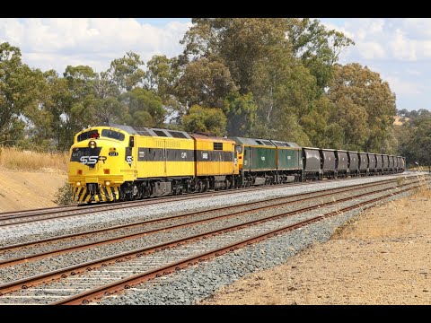 Classic EMD Bulldogs: 5MC1 SSR Grain With CLF1, GM22, RL306 &  RL302 - Tallarook VIC - 17/12/2020