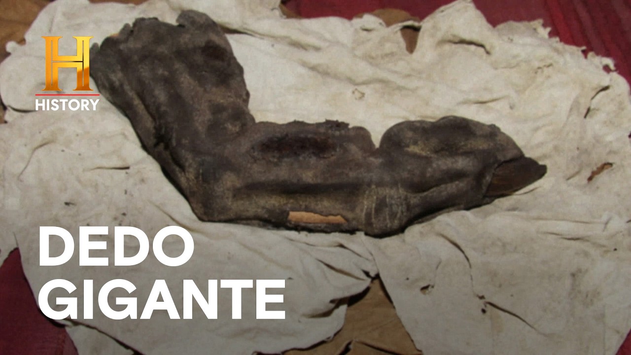 ¿EVIDENCIA DE GIGANTES? EL DEDO MOMIFICADO DE 35 CENTÍMETROS 🦴 - LA EVIDENCIA ESTÁ ENTRE NOSOTROS