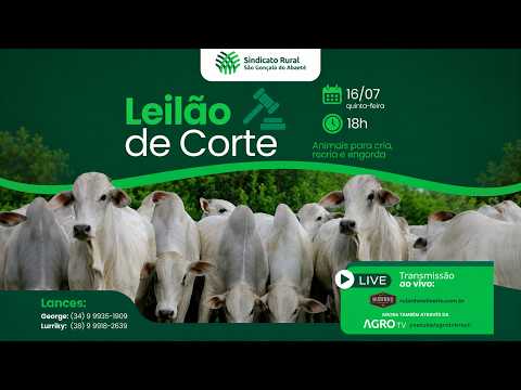 LEILÃO MISTO - SINDICATO RURAL DE SÃO GONÇALO DO ABAETÉ