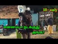 சத்யா சின்ராஸ் குறவன் குறத்தி கரகாட்