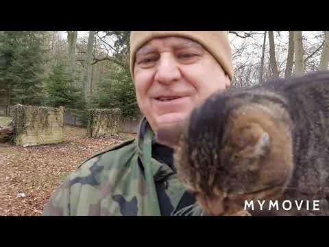 KPT. ŻBIK - jest jak Pieszczoch : domaga się wzięcia na ręce i ciągłego noszenia : 19.03.2021/9:52