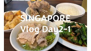 【シンガポール5泊7日夫婦旅⑤　2日目-1】観て食べてシンガポールを満喫！｜シンガポールの電車（MRT)｜ソンファ・バクテー (Song Fa Bak Kut Teh )｜マーライオン｜（006）