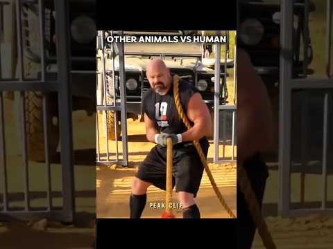 Last animal was insane 💀