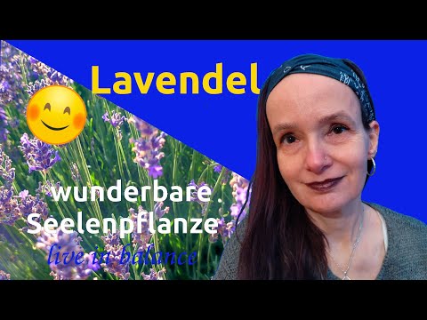 Lavendel - Die Seelenpflanze