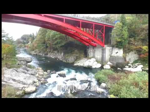 道の駅胎内エリア紹介