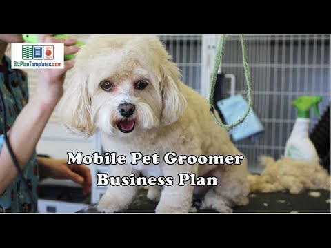 , title : 'mobile pet Grooming business plan example template'