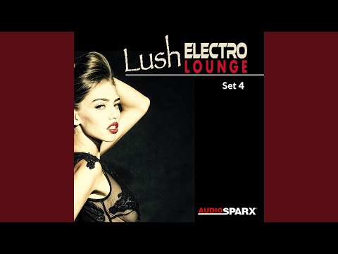 Breezz Studio - Night Adventure