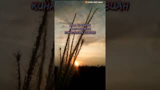 Download lagu Story Wa Peterpan Noah -Menunggumu - #shorts mp3