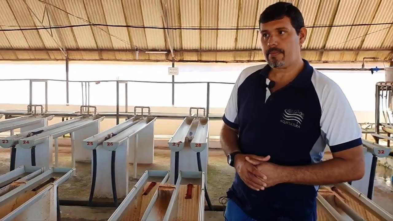 Aula Reprodução e Larvicultura - Tópico 02.6.2 - Aula de Campo 02 - Manejo de Pl's no laboratório.