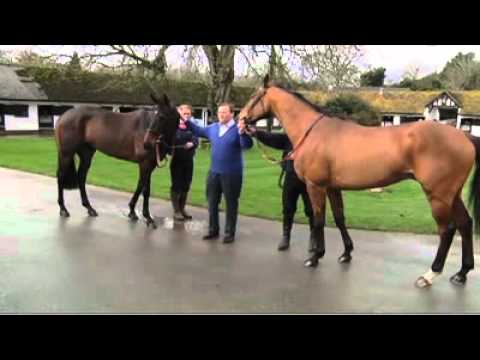 Gold Cup 2011 preview 1/2. Imperial Commander, Long Run, Kauto Star or Denman?