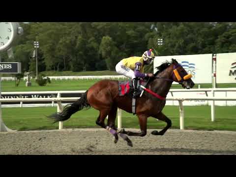 210214 c02 BATALLADOR