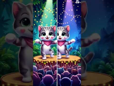 Cat Droom Droom #cat #dance #droom #ytshorts #video