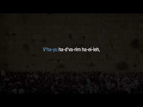 Gallery - Online How To Academy