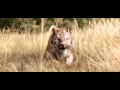 The Jungle Book - International Trailer