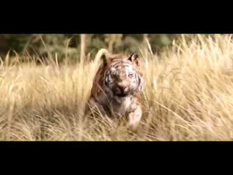 The Jungle Book (International Trailer)