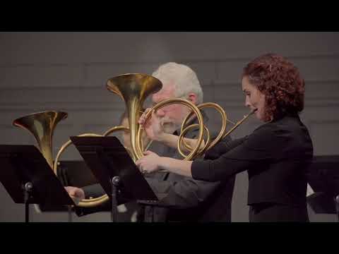 Georg Philipp Telemann (1681-1767) - Concerto for 2 Horns, 2 Oboes, and Strings TWV 52:Es1