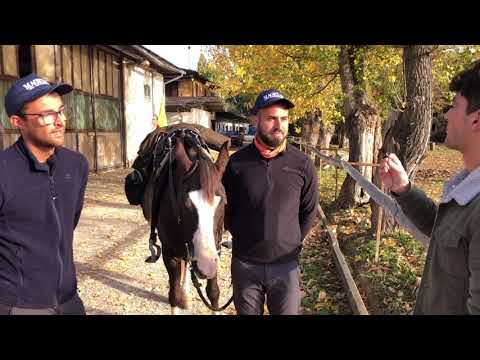 I Trekker del Golfo attraversano tutto lo stivale a cavallo