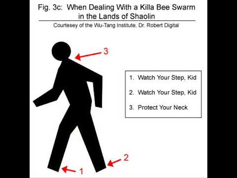 Udi The Erratic Assassin Ft Holocaust & Arcane - Ironwing