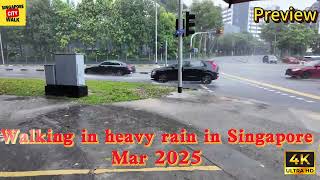 Walking in heavy rain in Singapore| Heavy Rain|暴雨|Stress Release