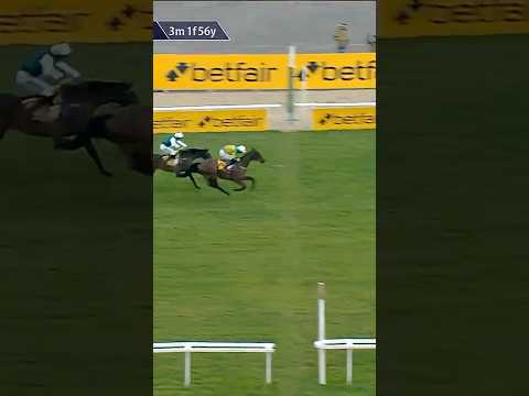 Spillane's Tower back to winning ways! 🟢 🟡
