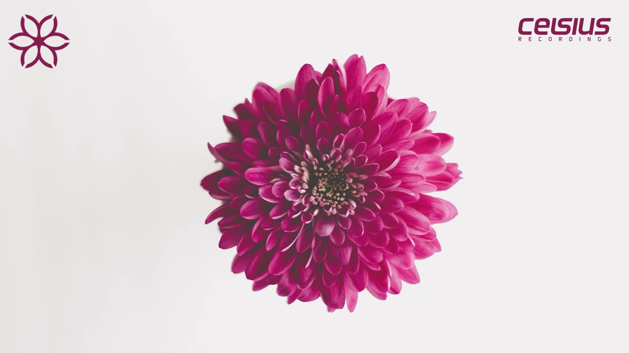 Elixr - Is This Really Love