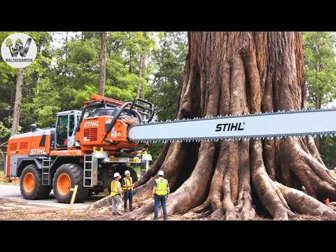 Die tödlichsten Holzfällermaschinen der Welt – Extremer Einsatz im Wald! #32